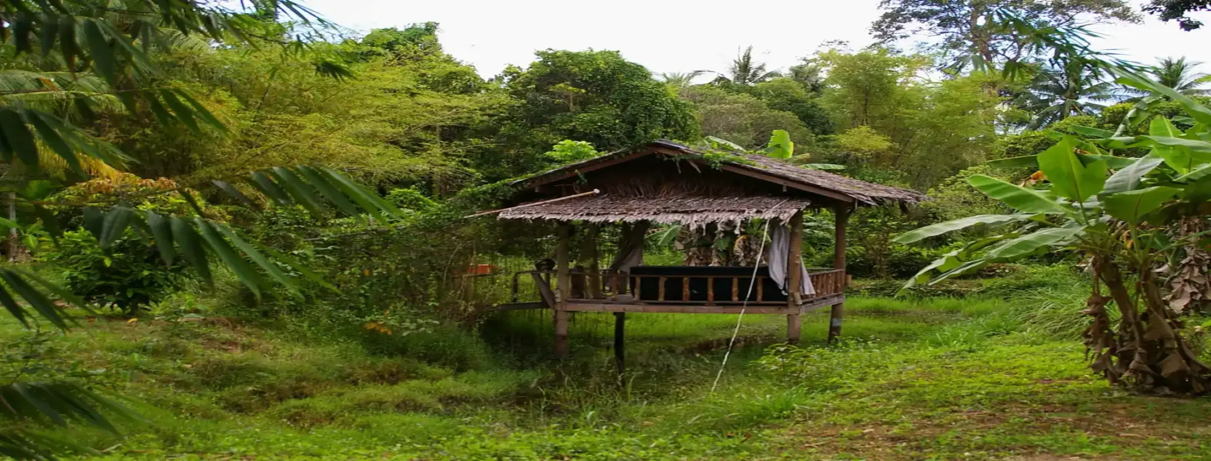 Image for Jungle Hideaway